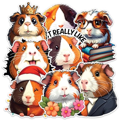 Image of Guinea Pig Sticker 8 Pcs (Large Size) Vinyl Stickers Laptop Waterproof Decal for Car Bumper Water Bottle Notebook Window Funny Party Birthday Decorations - Size 4 Inches