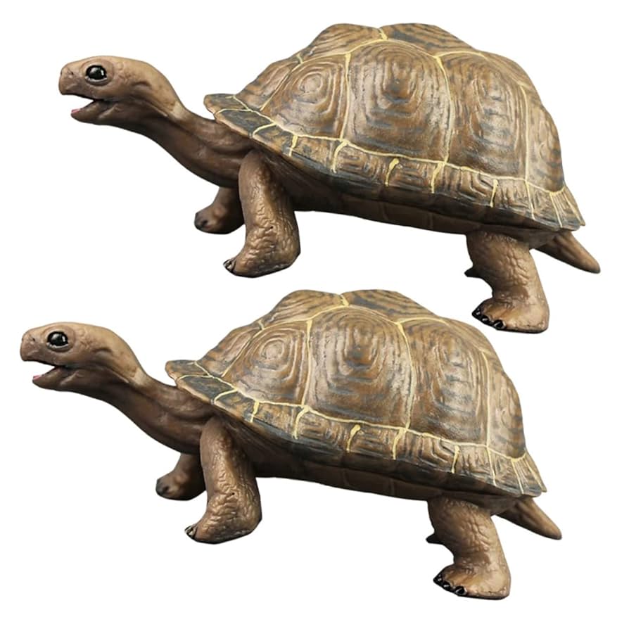 Amazon.co.jp: EXCEART 2個リアルなウミガメ 陸ガメ模型 知育
