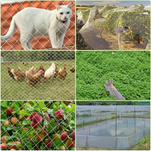Katzennetz für Balkon, 5x5m Ohne Bohren Katzennetz, Vogelschutznetz Transparentes, Balkonnetz für Katzen, Taubennetz Balkon, Taubennetz für Garten, Balkon Gemüsegärten Obstbäume oder Teich