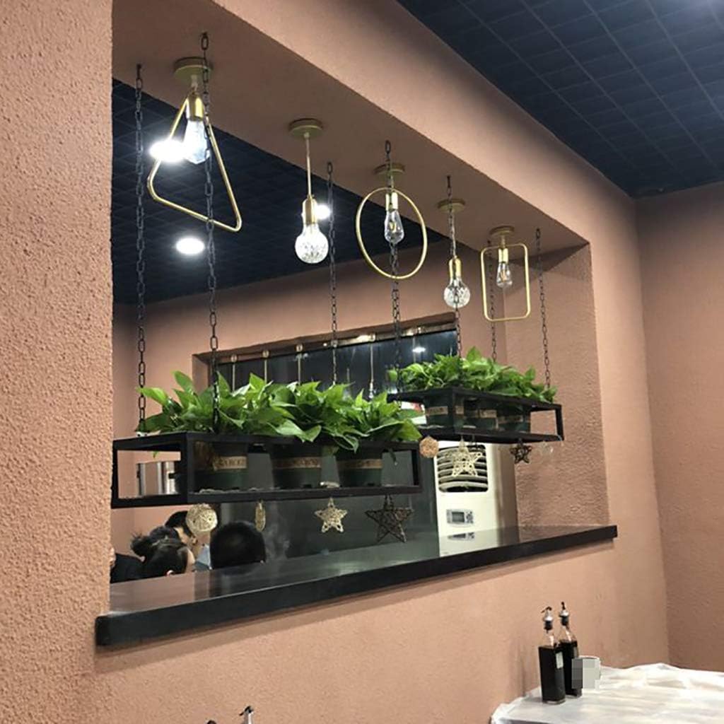 Organize Kitchen Hanging Rack Shelf with Upside Down Wine Rack,Ceiling Mounted Rack Hanging Rack,Plant Hanger Shelf Decoration for Living Room Bar Coffee Shop Restaurant/Commercial