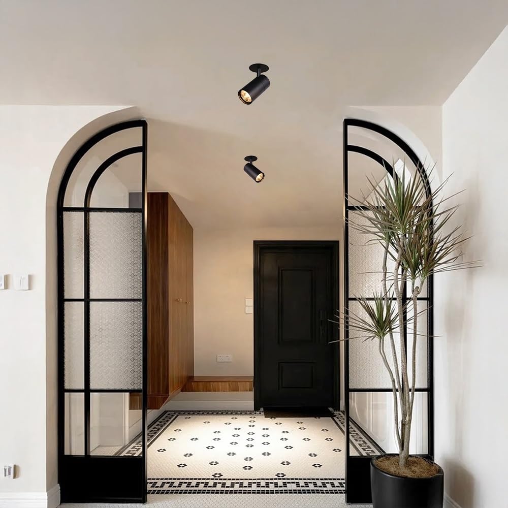 Jadssox Faretti Da Soffitto A LED Con Montaggio A Filo Orientabili, Faretti Da Incasso A Soffitto Con Rotazione A 360°, Illuminazione D'accento Direzionale For Quadri Artistici(Black-6000K,30W)