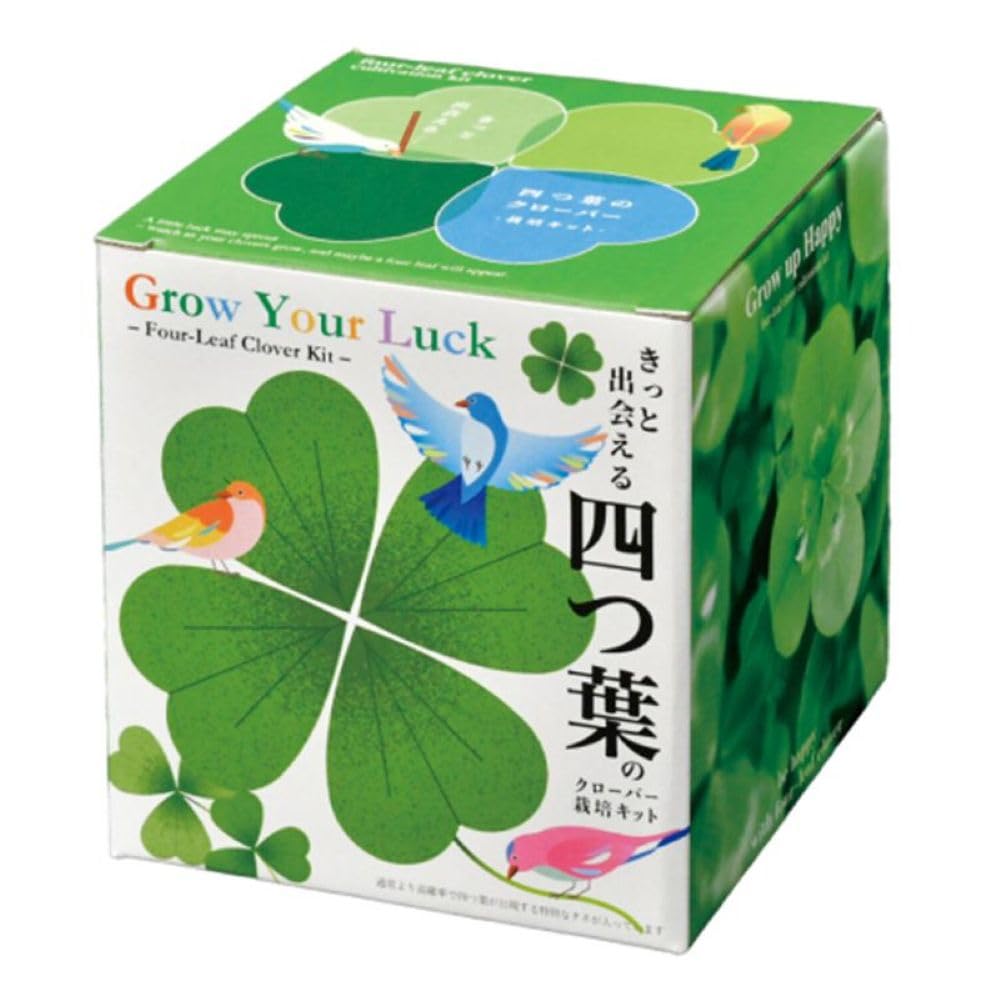 Amazon.co.jp: 聖新陶芸 きっと出会える四つ葉栽培ｷｯﾄ 四つ葉のｸﾛｰﾊﾞｰ