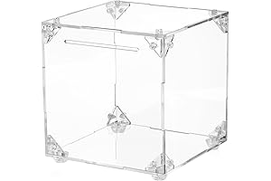 Crystal-Clear Acrylic Piggy Bank: A Reusable Vessel for Financial Security