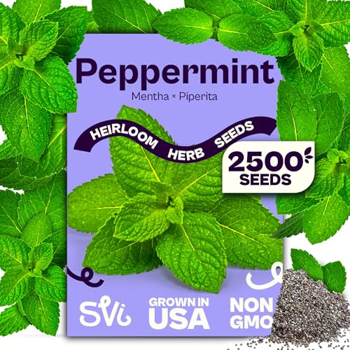 SVI 2500 Peppermint Seeds (Mentha piperita) - Aromatic Perennial Herb Peppermint for Tea Culinary Use - Non GMO & Herb Seeds for Outdoor & Indoor Garden Containers