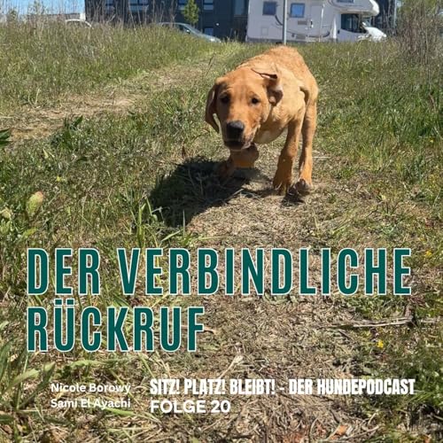 #20 Vom Wohnzimmer ins echte Leben: Der Blick auf den Rückruf Podcast Por arte de portada