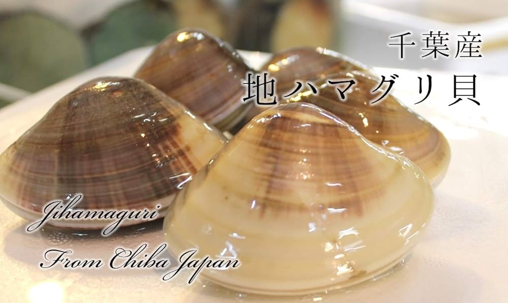 Amazon.co.jp: 天然 地はまぐり 生（活け）特大サイズ 千葉産