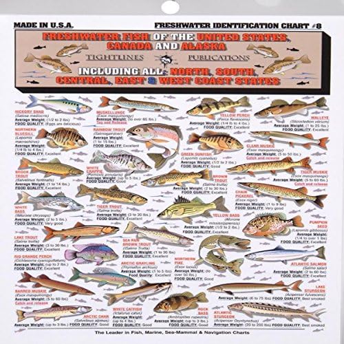 Fishermans Freshwater Fish Chart #8