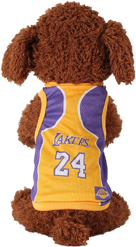 calze da esterno per cani