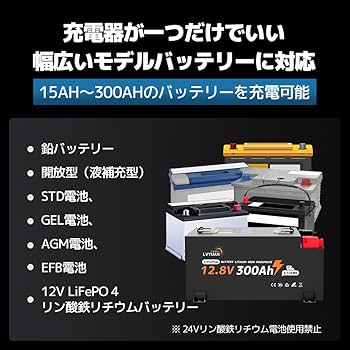リョクエン（LVYUAN）【正規品】 全自動パルスバッテリー充電器　定格30A 41C2XCiW21L.jpg