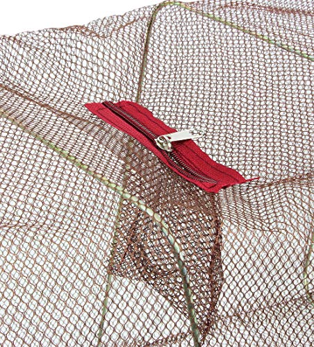 Esche pesce riutilizzo Anguilla riutilizzo con