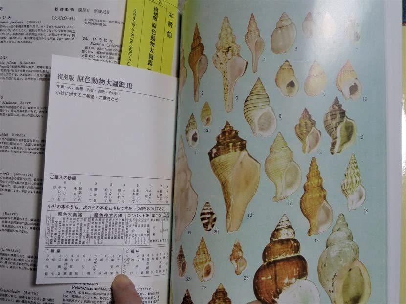 Amazon.co.jp: 図鑑 復刻版 原色動物大図鑑 棘皮・毛頭・前肛・軟体 