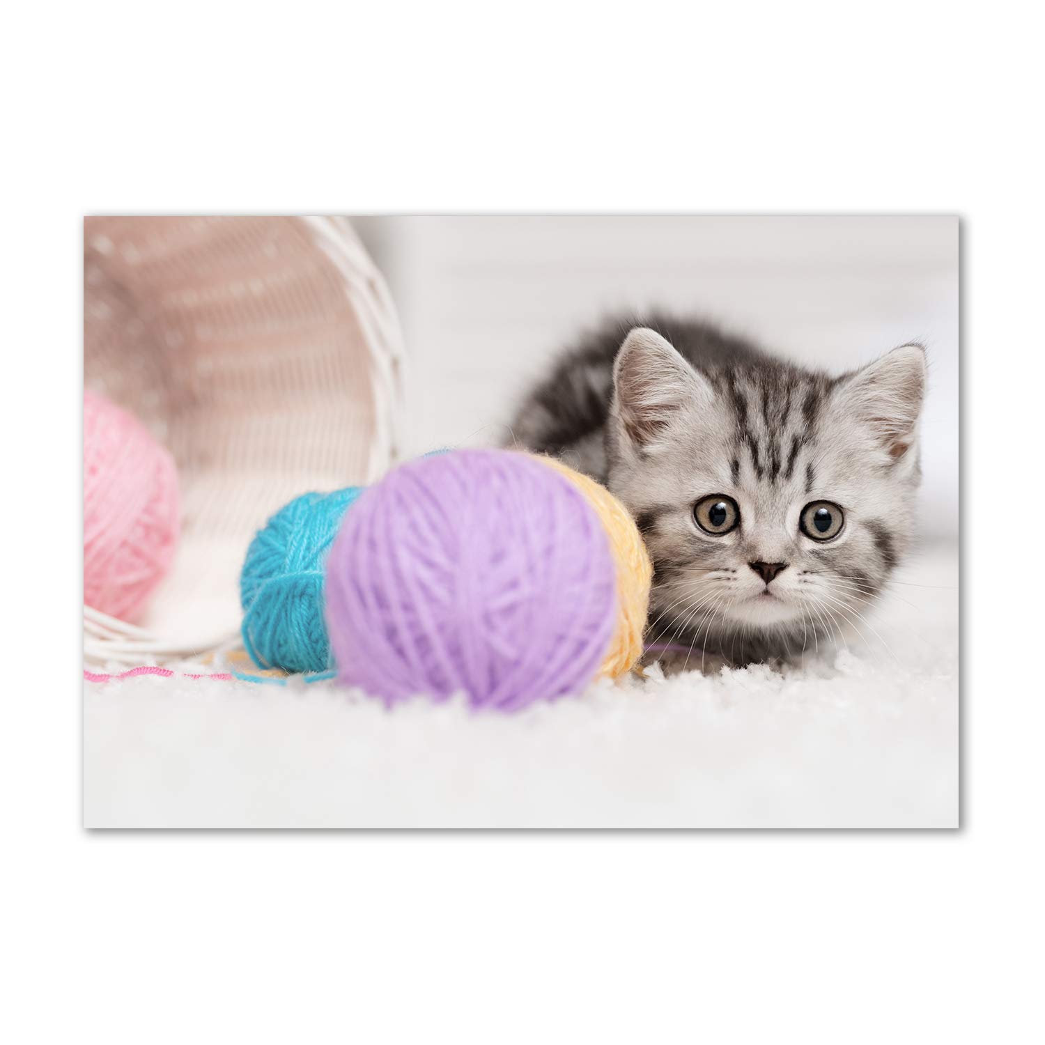 Tableau verre acrylique chat déco murale moderne plastique Tulup Gato