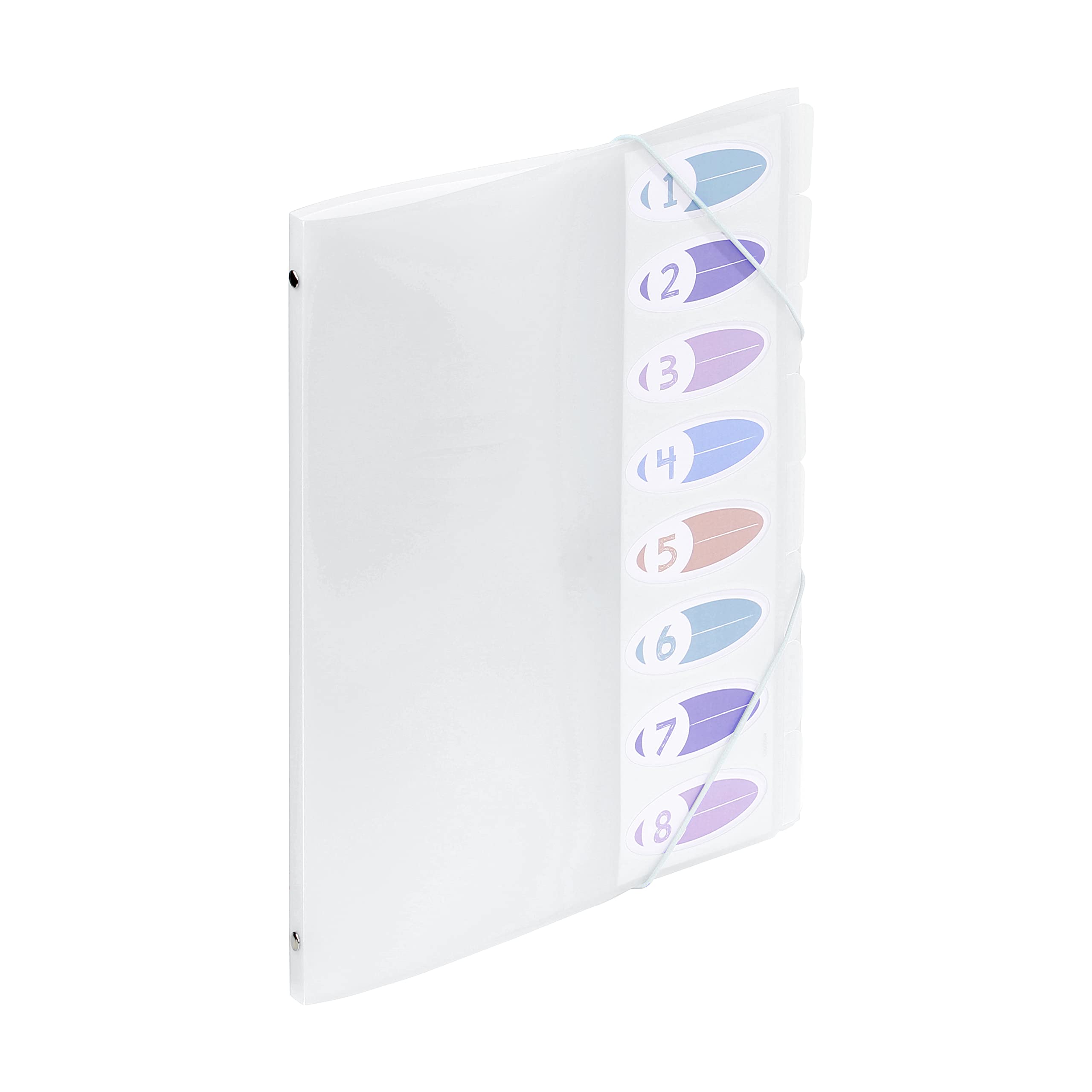 Viquel - A4 8 Compartment File for Office or Home - Elastic Closure - Propysoft Range - Colourless