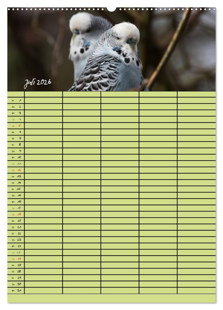 Der Wellensittich-Familienplaner (Wandkalender 2026 DIN A2 hoch), CALVENDO Monatskalender: Putzige Piepmätze (CALVENDO Tiere)