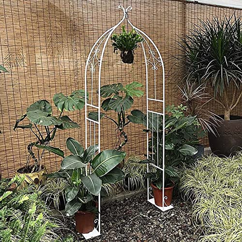 Dcrtiv Arco para Rosas Garden Arch Enrejado Pérgolas de Jardín Tubular Marco Soporte para Resistente Metal 80cm×30cm×205cm Todo Tipo de Plantas trepadoras (Color : Blanco) Cover