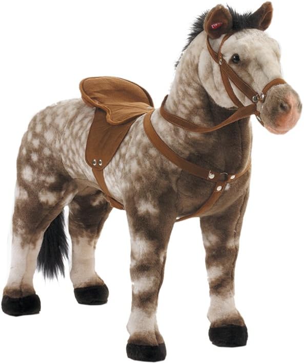 sella per cavallo ragazza americana