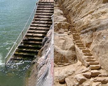 Amazon | Product as Landscape | Hecht, Sam, Colin, Kim