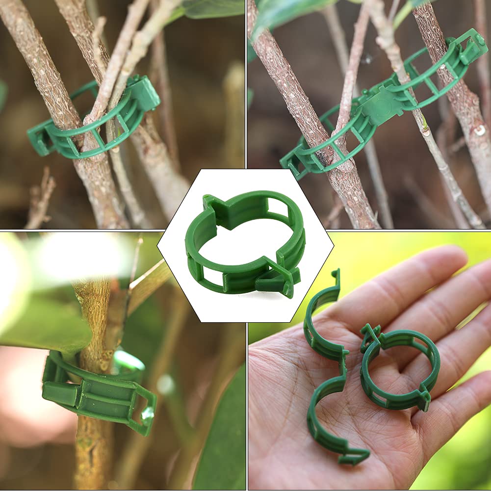 KINGLAKE 200 Pezzi Clip per Piante Clip per Piante Clip di