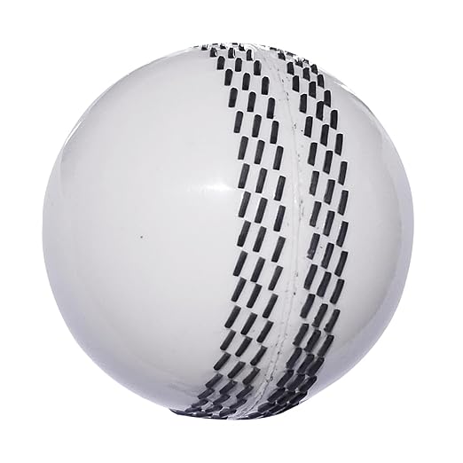 FRONTPLAYS Soft Cricket Balls Practice, Training, for
