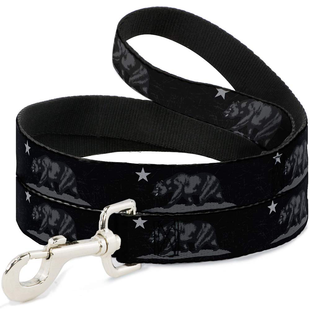 Laisse pour chien Cali Ours de Buckle Down, l'accessoire idéal des balades en ville