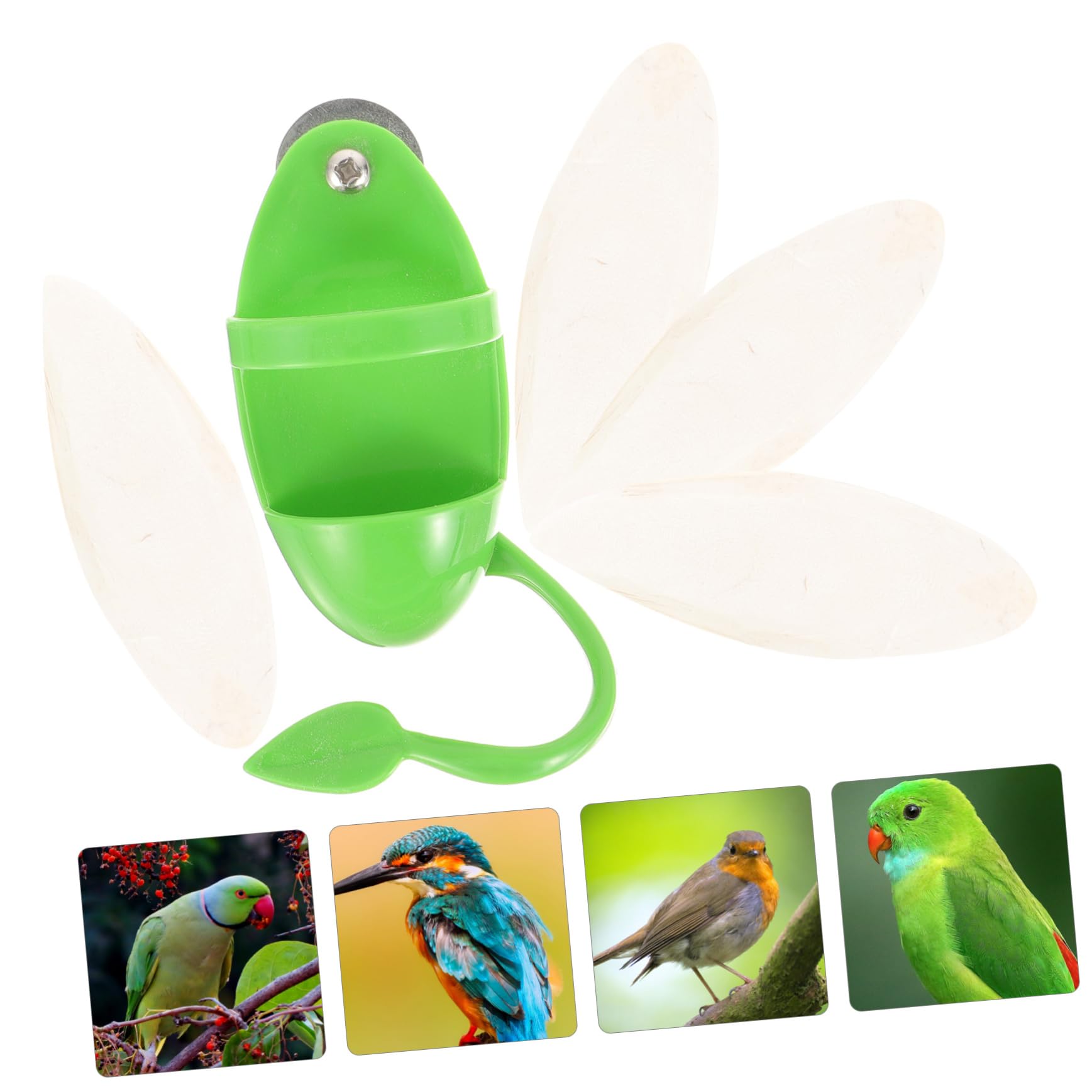 Kisangel Lot De 4 Mangeoires À Oiseaux en De Seiche pour Perroquets Bols Suspendus Accessoires pour Cage À Oiseaux