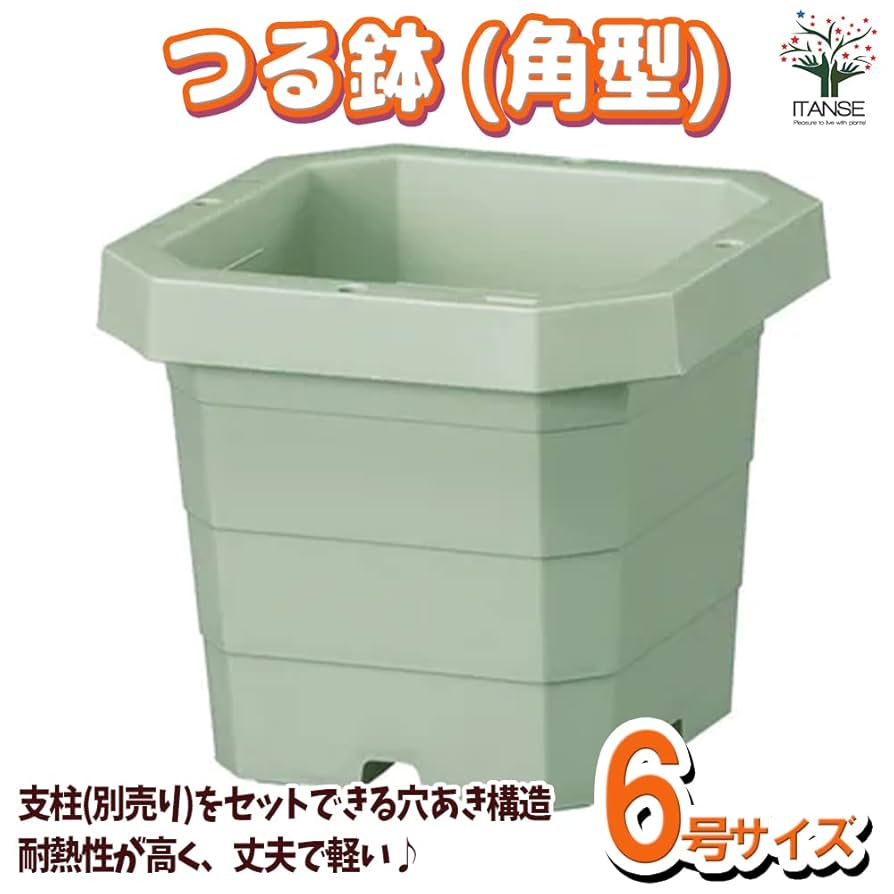 鉢 1.jpg?1501088688