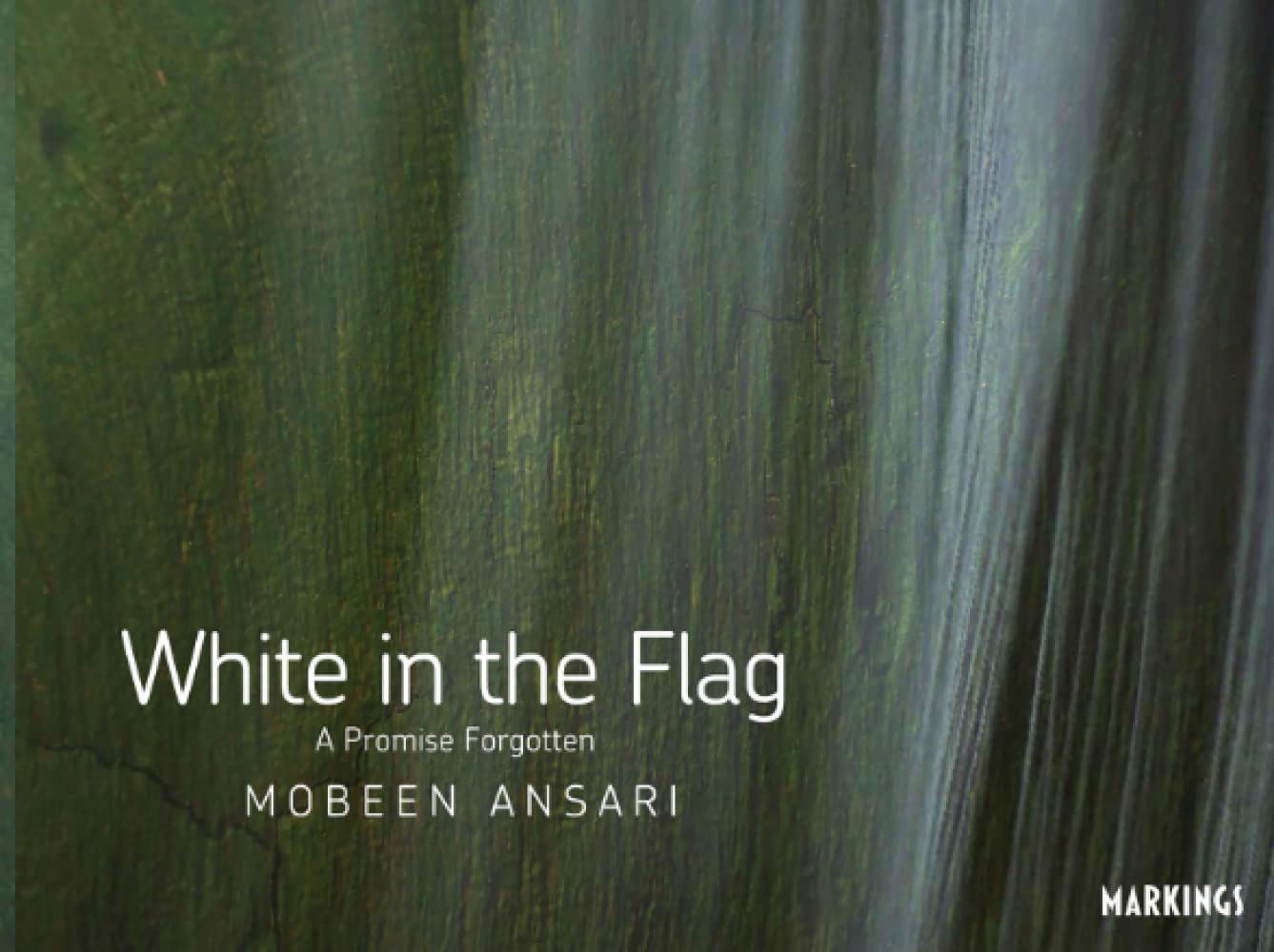 White in the Flag: A Promise Forgotten