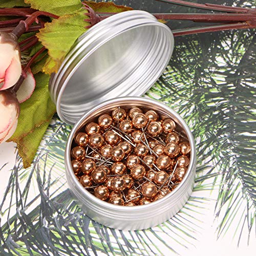 Tupalizy 100Pcs 1/4 Inch Small Round Head Map Tacks Pins For Home Office Bulletin Cork Board Use And Diy Craft Project (Rose Gold) #TOP2