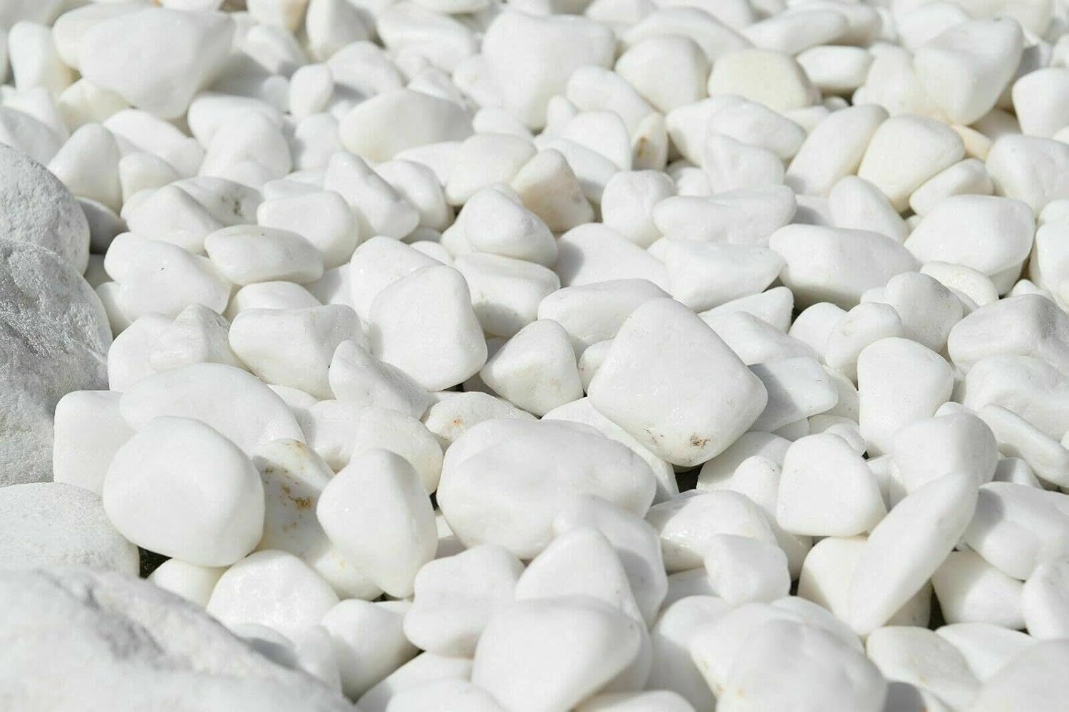 TRANS - PAL Decorative Natural Marble EXTRA WHITE 20-40mm 20 kg Pure White Pebbles Stones Gravel Chippings Landscape Garden Home BULK BUY (20kg)