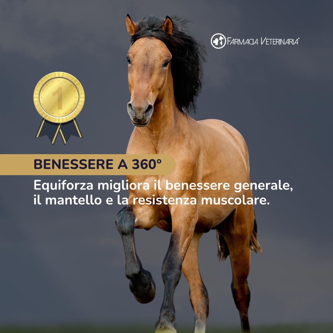 Equiforza Total Integratore in Polvere per Cavalli con BCAA, L-Carnitina, Gamma Orizanolo e Spirulina, Sviluppo Muscolare, Energia e Recupero, 1,5 kg