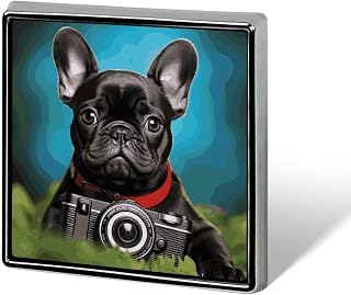 Personalized Button Pins Metal Square Badge Aesthetic for Decoration | French Bulldog Puppy with Camera Photo Button Badges, Square Lapel Pins Funny Gifts for Clothes Hats Backpacks Accessories