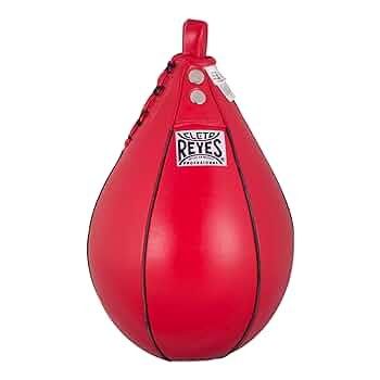 CLETO REYES ヘビーサンドバッグ　新品 81jjXw4K6SL._UF1000,1000_QL80_.jpg