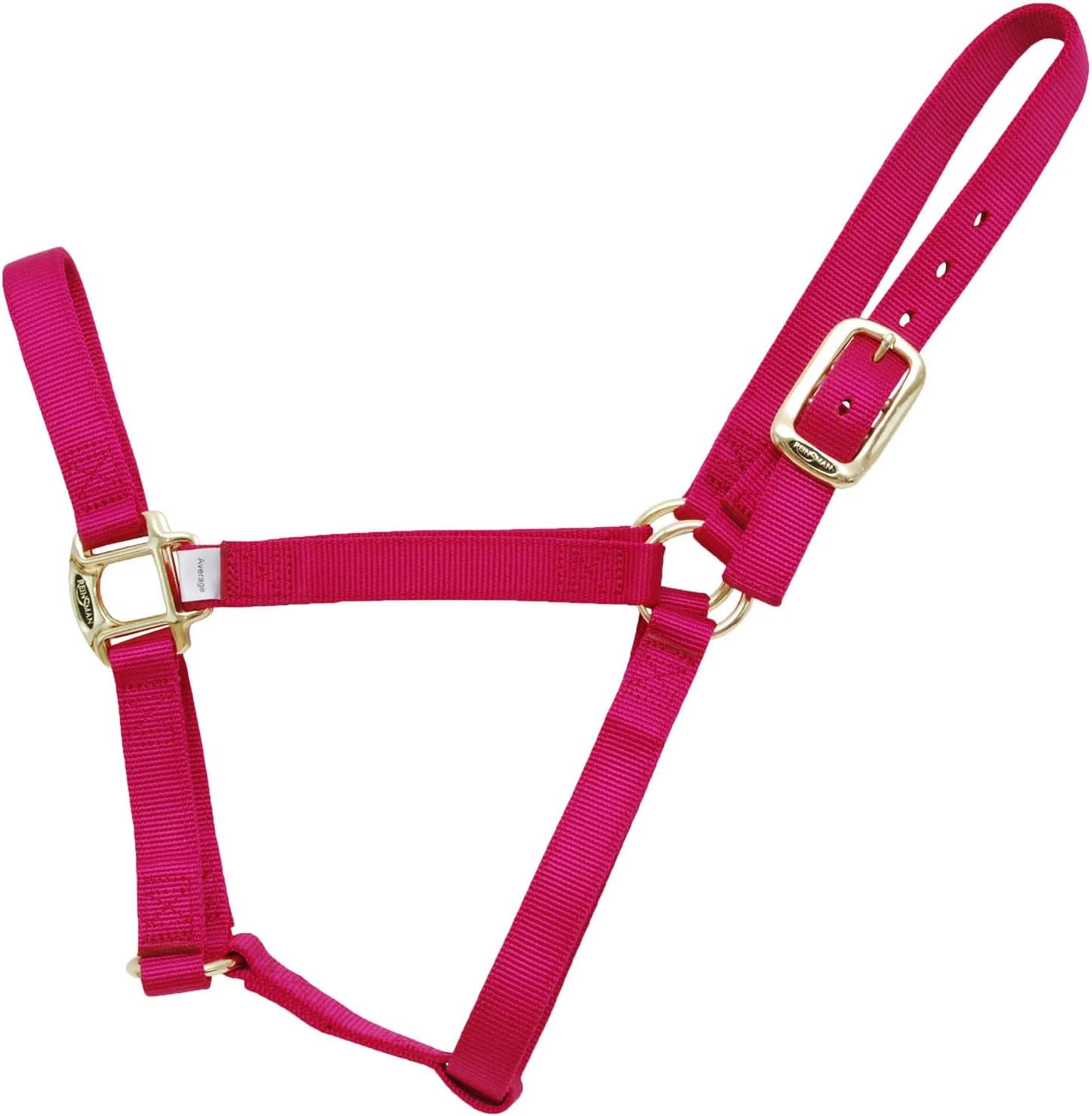 REINSMAN Classic Nylon Halter (9709) | Durable Double-Ply 1-Inch Nylon Halter with Adjustable Buckle at Crown & Resistant Hardware | Horse Tack for Everyday Riding