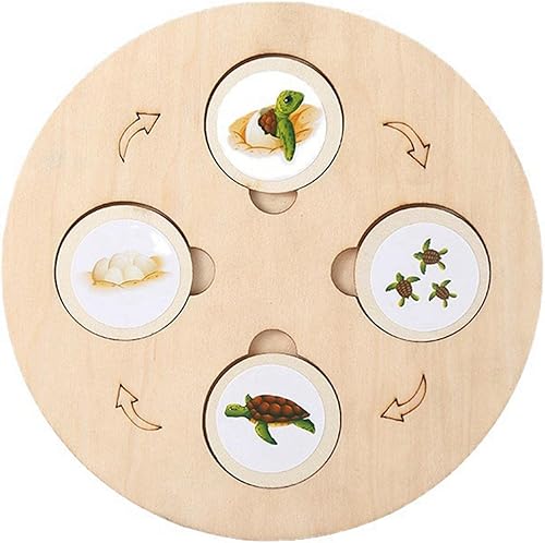 Miniatura 3 de Bandeja de ciclo de vida educativo temprano rompecabezas de madera etapa de crecimiento y animal para herramientas de enseñanza, estudiantes,