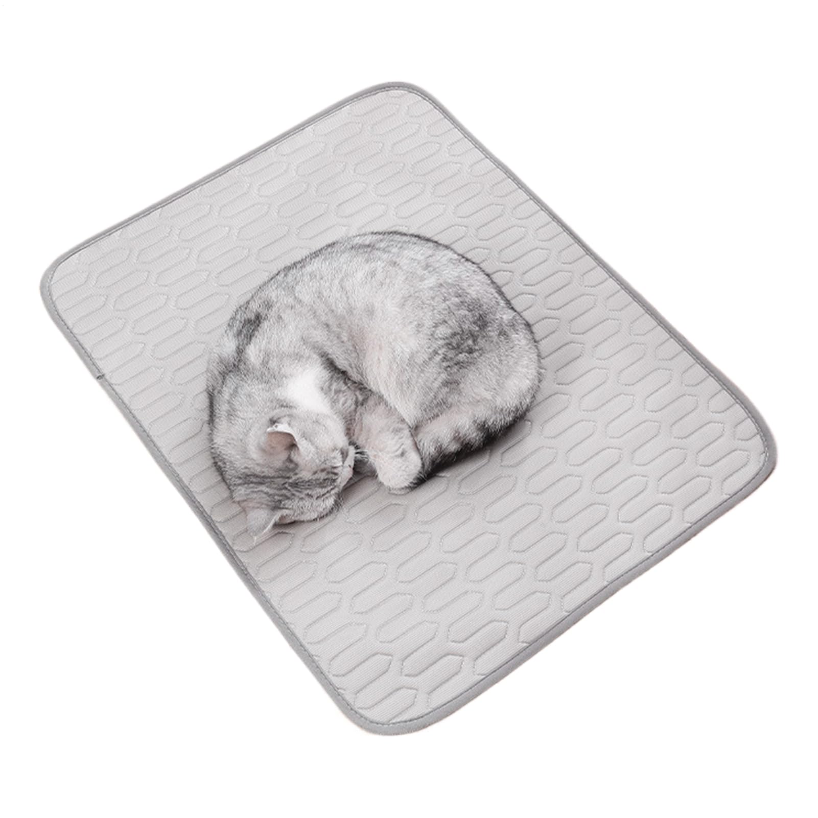 Tapis rafraîchissant pour chien couverture soie glacée