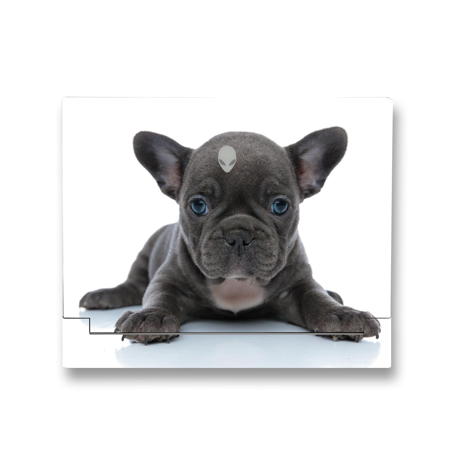 MightySkins Skin Compatible with Alienware X14 R2 (2023) Full Wrap Kit - French Bulldog | Protective, Durable, and Unique Vinyl Decal wrap Cover | Easy to Apply &amp; Change Styles | Made in The USA