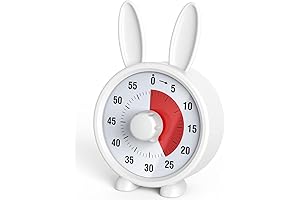 Stouchi Magnetic Visual Timer: Empowering Kids with Autism through Enhanced Learning and Daily Routine Management