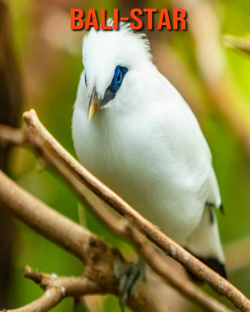 Bali-Star: Sagenhafte Fotos & Buch mit lustigem Wissen über Bali-Star für Kinder