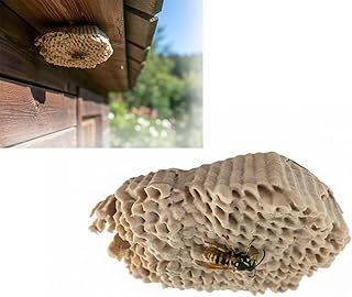 Realistic Wasp-Nest Style Geocache Container, Outdoor Cache with Magnetic Mount And Attached Lid, Durable Weather-Resistant Hidden Cache for Creative Geocaching