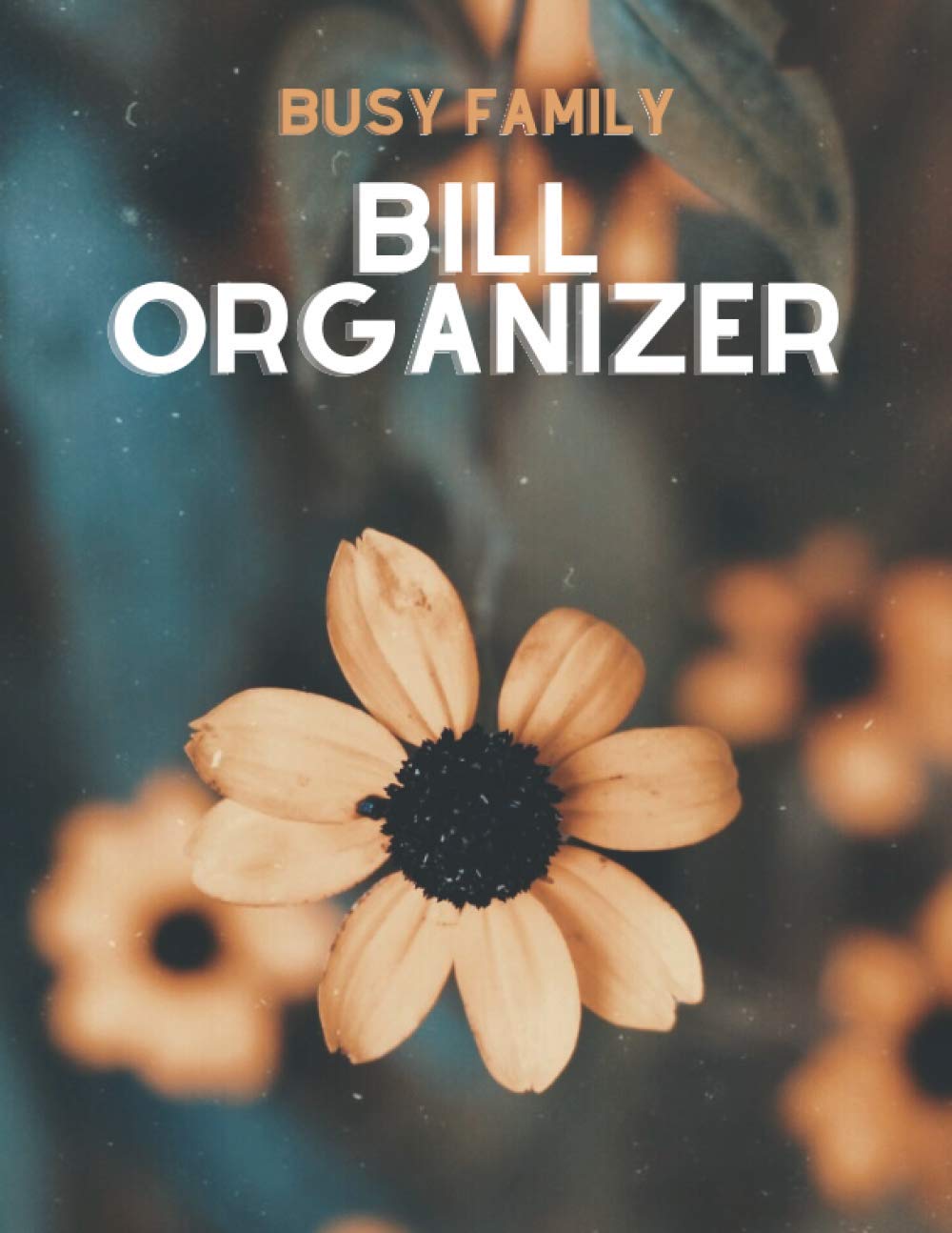 Busy Family Bill Organizer: Simple Monthly Bill Payments Organizer / Planner / Log Book / Money Tracker Keeper Budgeting Financial Planning Budget / Business Journal / Notebook with Annual Overview