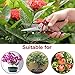 WYF Pruning Scissors, Professional Garden Shears - Straight Stainless Steel Blades - Sharp Gardening Hand Pruner for Garden Harvesting Fruits, Vegetables, Trimming Flowers and Plants, 8.1IN(Red)