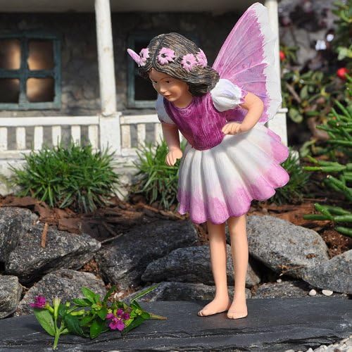 Miniature Garden Heliotrope Fairy