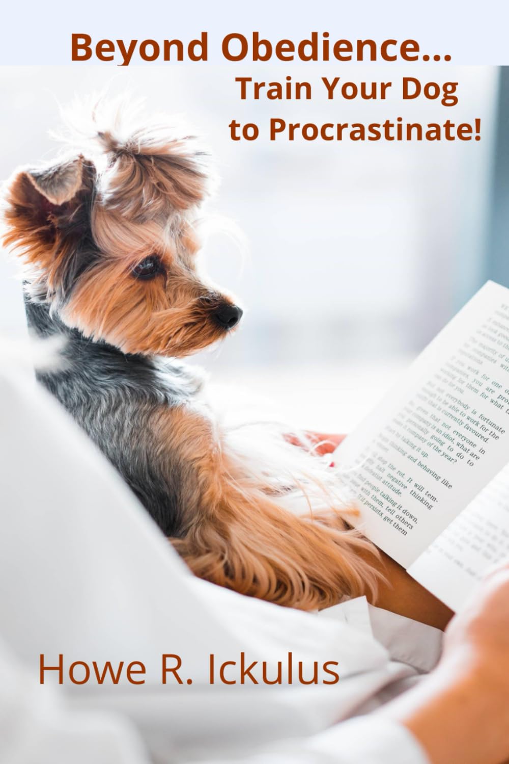 Beyond Obedience... Train your Dog to Procrastinate