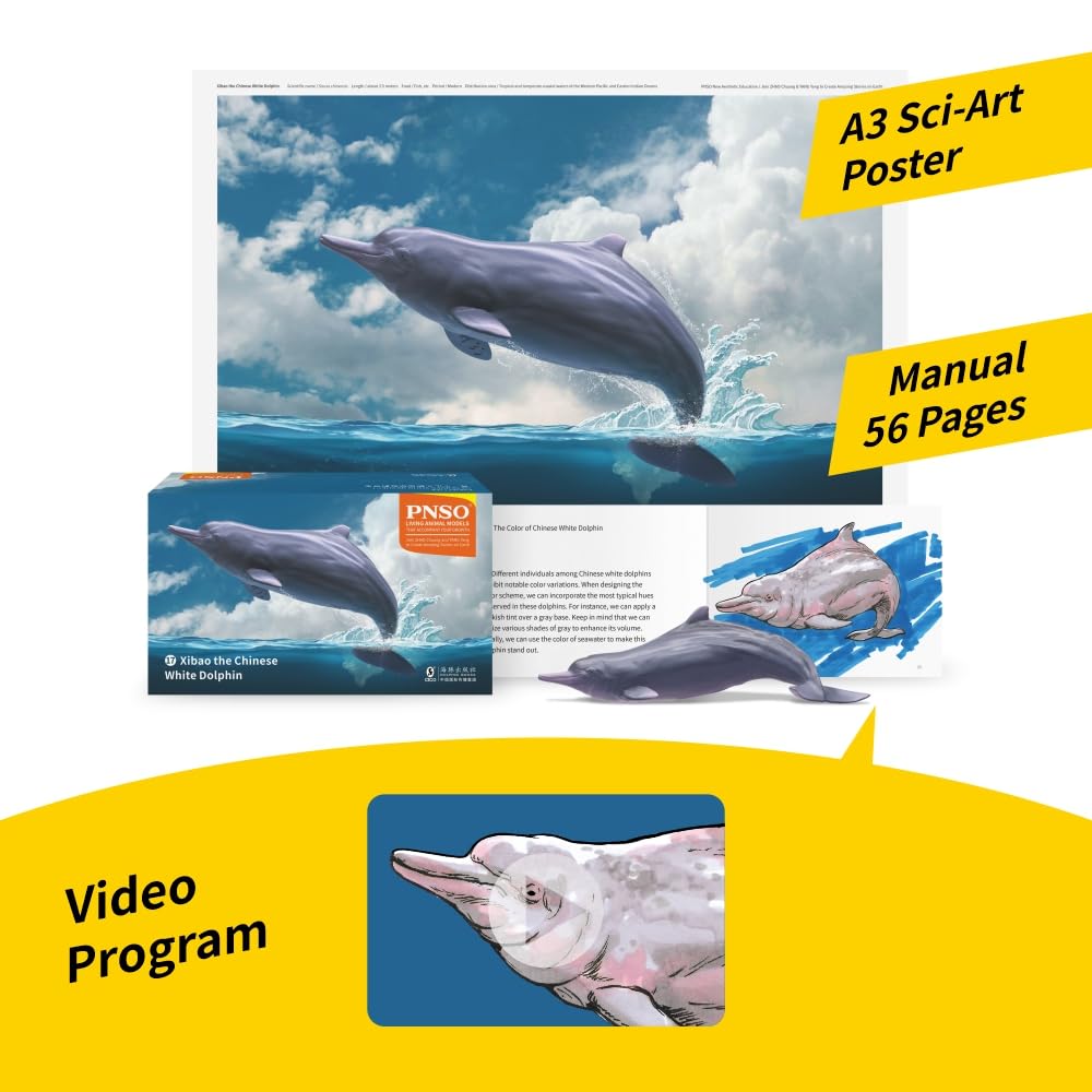 AMITD Living Animal:17 Xibao The Chinese White Dolphin