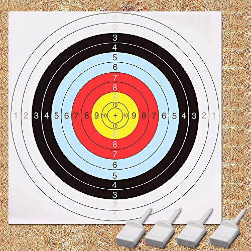 GEEKHOM dianas para tiro con arco, 60 cm x 60 cm dianas de Tiro, conjunto de blancos de tiro (10 piezas, 4 pines)