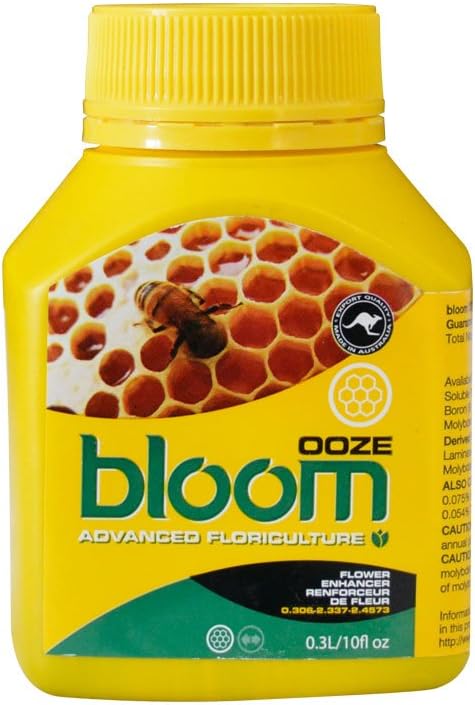 Yellow Bottles Ooze Bloom, 300 Milliliter