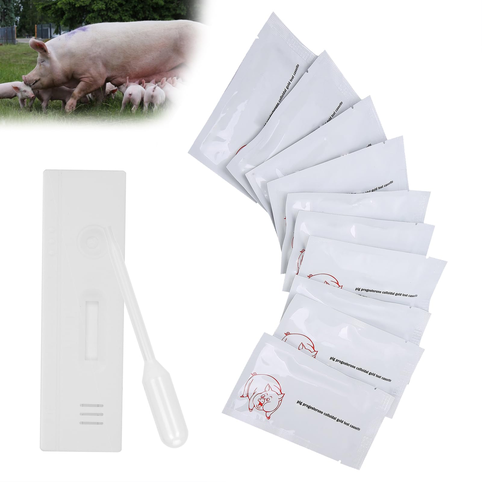 Matybobe Test de Embarazo de Cerdo Detección Temprana Confiable Herramienta de Ganado 10 Piezas