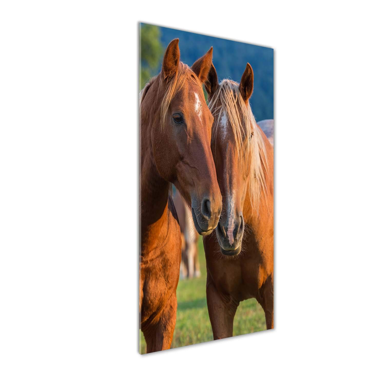 Mural art animaux : déco mural derrière le plastique Tulup 50x125