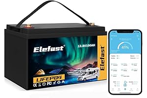 FEENCE 12V 100Ah Bluetooth LiFePO4 Battery: Resilient Power for Diverse Applications