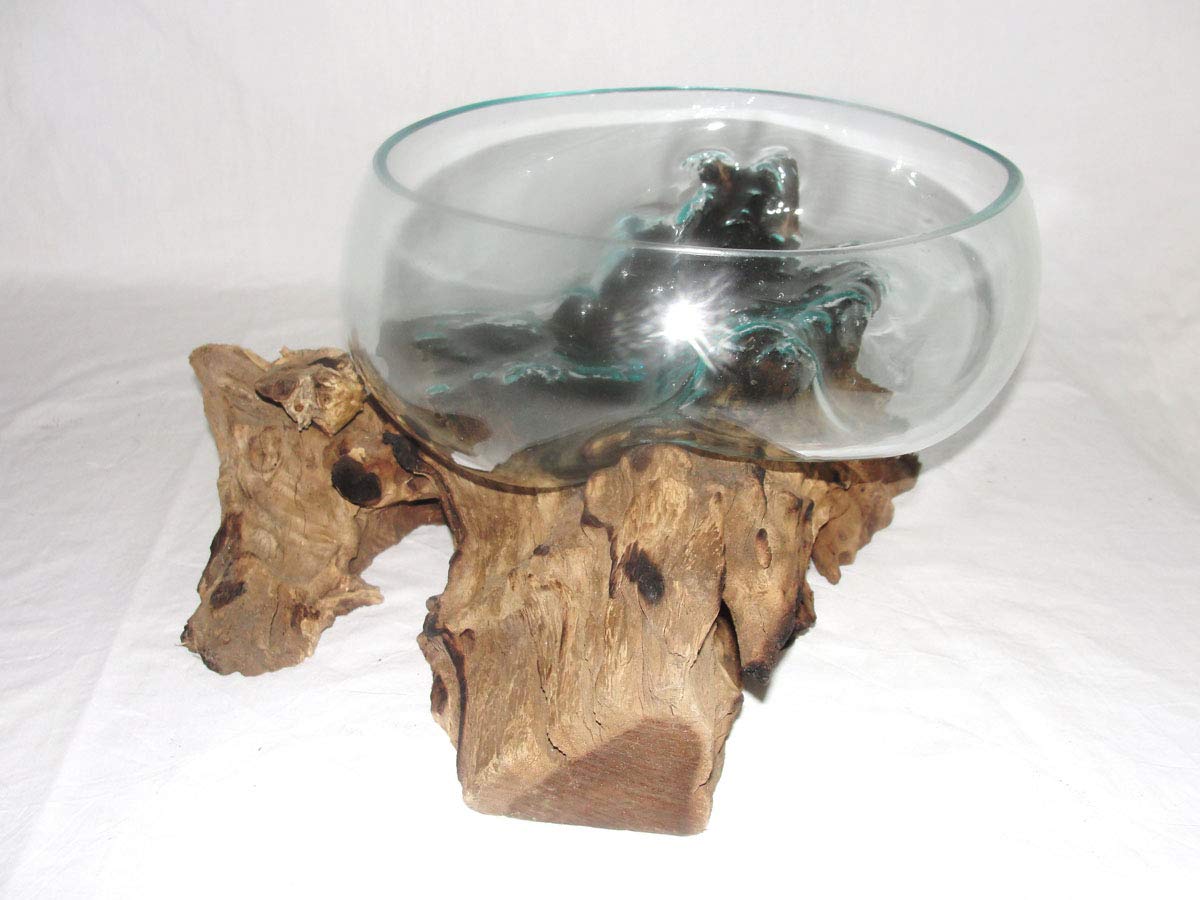 Deko Glasschale Ø 30 cm Obstschale Blumenschale auf Wurzel-Holz, Vase Schale mit Treib-Holz Dekovase Dekoschale charakteristische Dekoration